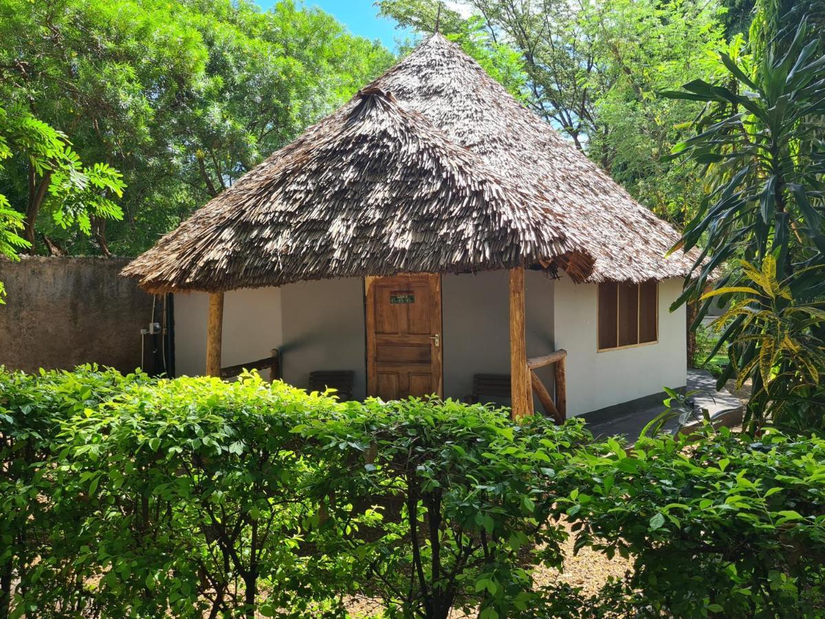 Honey Badger Lodge Moshi Exterior photo